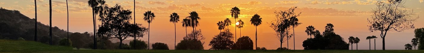 Palm trees at sunset over a Southern California hillside